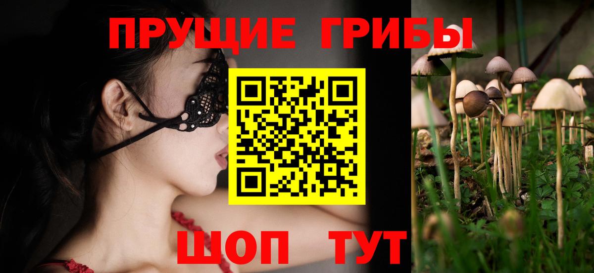 Галлюциногенные грибы мицелий Тверь
