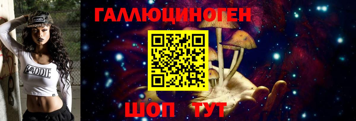 Тверь  Галлюциногенные грибы мицелий  Вход с VPN  Галлюциногенные грибы прущие грибы 