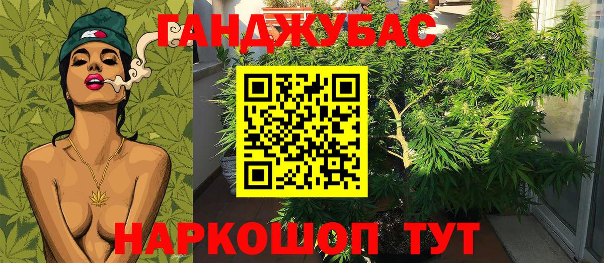 Конопля AK-47  Вход с VPN  Тверь  Конопля AK-47 